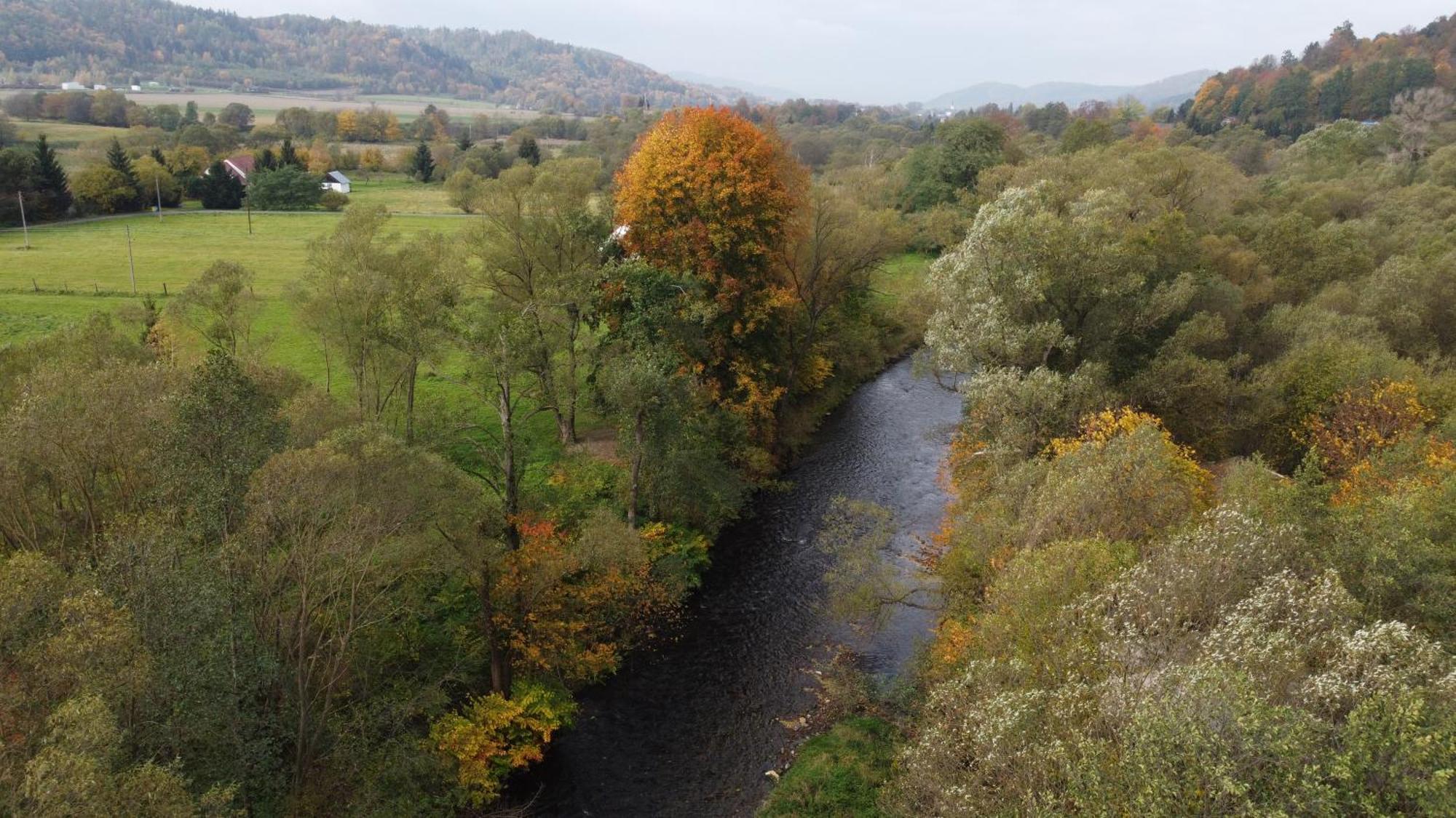 Zielonapogoda Lądek-Zdrój Extérieur photo